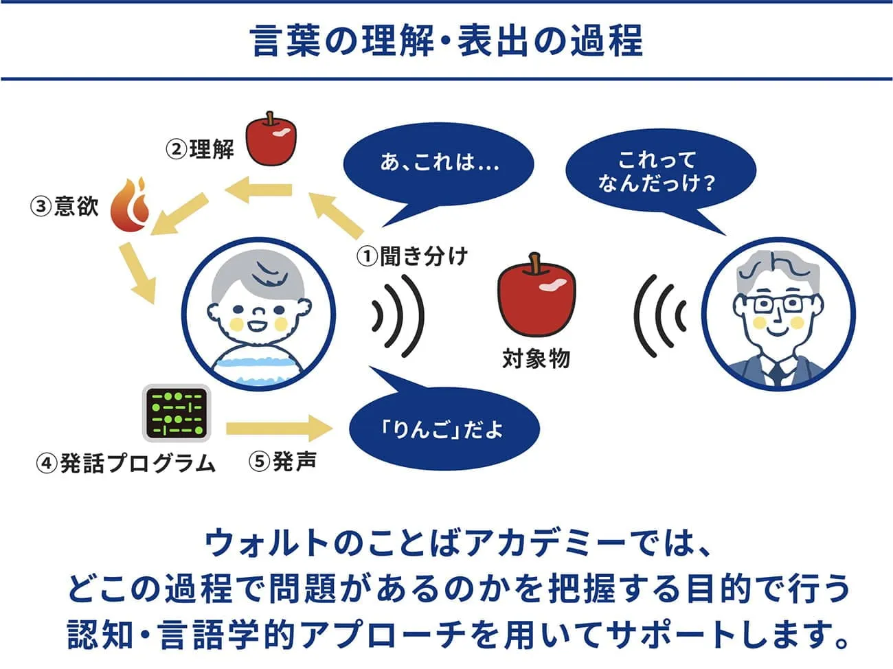 言葉の理解と表出の過程