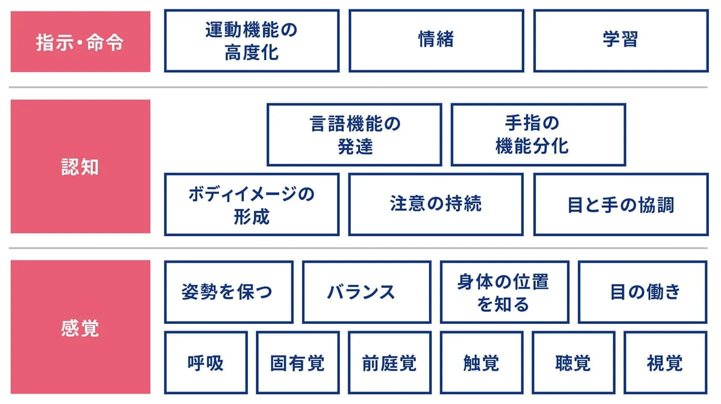 発達プロセス